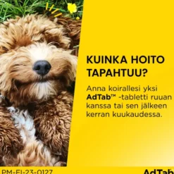 ADTAB 900 mg Vet purutabletti koirille yli 22-45 kg 3 kpl