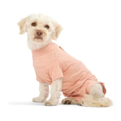 BUSTER Body Suit Stepn Go For Dogs Orange toipilaspuku koirille, koko XS