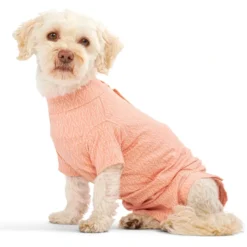 BUSTER Body Suit Stepn Go For Dogs Orange toipilaspuku koiralle, koko L