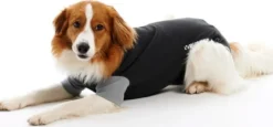BUSTER Body suit suojabody koiralle, koko XXL