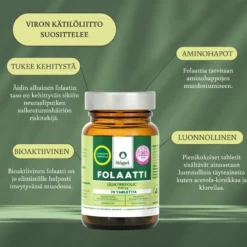 Nogel Folaatti Quatrefolic 400 mikrog 70 tablettia