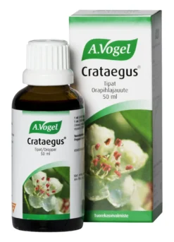 VOGEL Crataegus orapihlajauute