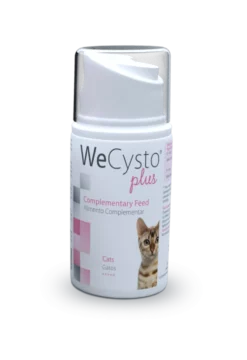 WECYSTO Plus geeli koirille ja kissoille tukemaan virtsateiden toimintaa